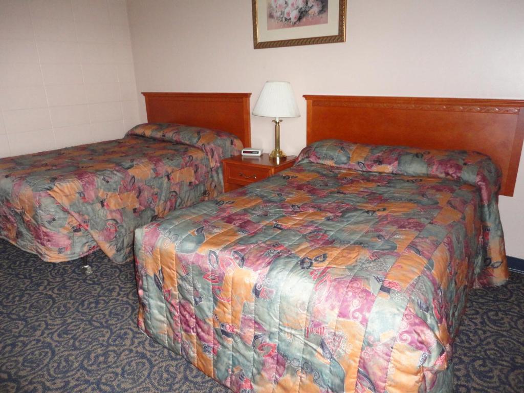 Matador Motel Drayton Valley 部屋 写真