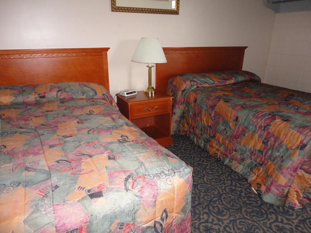 Matador Motel Drayton Valley 部屋 写真